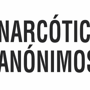 Logo_NA_2026